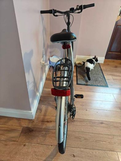 Small women's/ kids Viking bike with Kryptonite lock