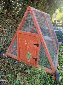 Chicken/small animal run