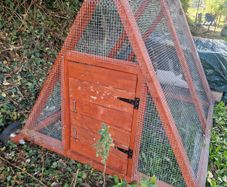 Chicken/small animal run