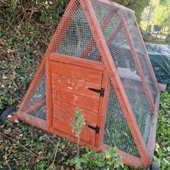 Chicken/small animal run