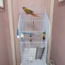 Bird Cage Image 5