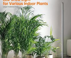 Bstrip 165cm Standing Grow Light for Indoor Plants