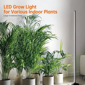 Bstrip 165cm Standing Grow Light for Indoor Plants