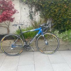 Giant road bike