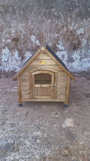 Dog House