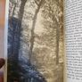 The Forests Of Ireland. History,distribution And Silviculture. Edited By The Royal Society Of Irish Foresters By Niall O'connor. First Edition Paperback In Good Condition   See Photos For Same. Image 7