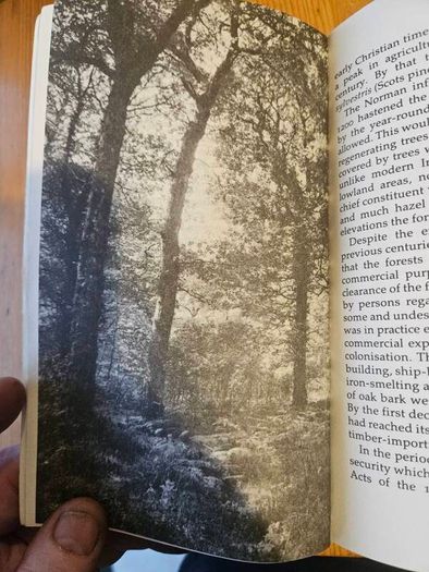 The Forests Of Ireland. History,distribution And Silviculture. Edited By The Royal Society Of Irish Foresters By Niall O'connor. First Edition Paperback In Good Condition   See Photos For Same.
