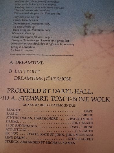 Daryl Hall - Dreamtime 12" - includes original free print