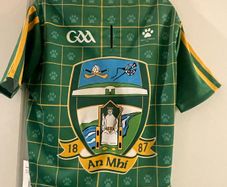 Meath GAA Jersey for dog pet accessories size M New