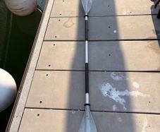 Palm Paddle
