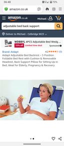 Bed back support