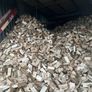 hardwood firewood Image 2