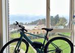 Tenways CGO600 Pro Electric Bike