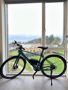 Tenways CGO600 Pro Electric Bike