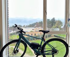 Tenways CGO600 Pro Electric Bike