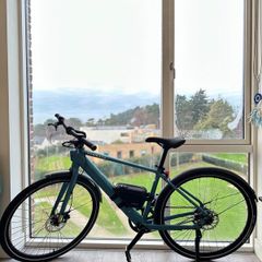 Tenways CGO600 Pro Electric Bike