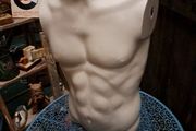 Male Mannequin Torso