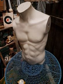Male Mannequin Torso