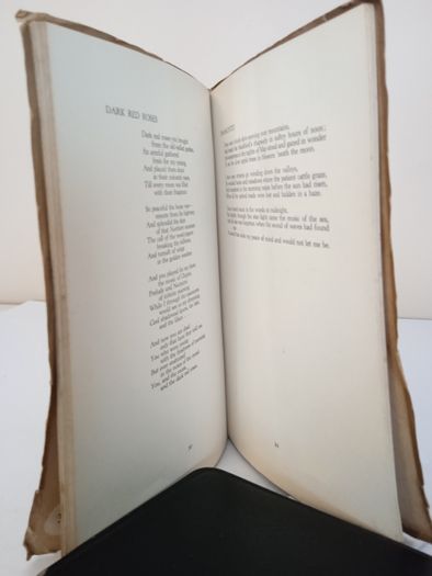 With No Changed Voice: Poems by John Irvine (PT146)