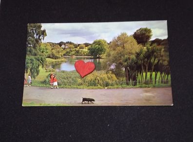 Ireland Postcard : The Lake , Phoenix Park , Dublin - 1970s - 80s