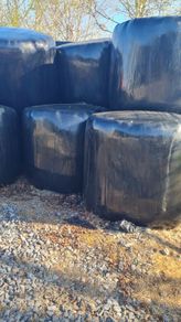 Organic Haylage