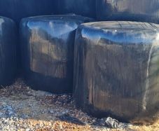 Organic Haylage