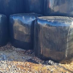 Organic Haylage