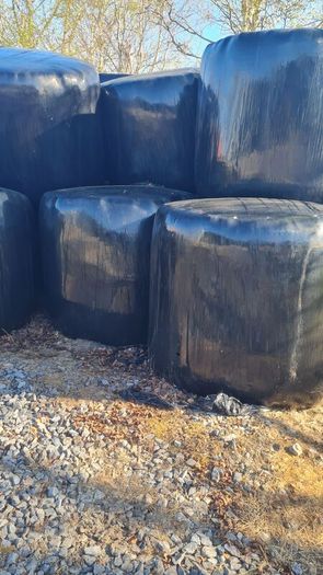 Organic Haylage