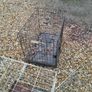 dog cages Image 6