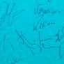 Ireland Rugby Signed Canterbury Jersey Irish Image 5