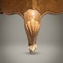 Louis XV Style Carved Oak French Tallboy Image 4
