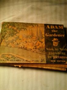 Adam The Gardener