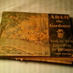 Adam The Gardener