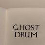 Ghost Drum book by Susan Price Image 4
