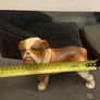english buldog Image 3