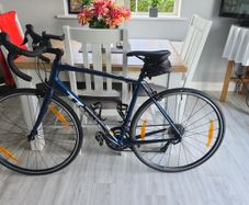 trek Domane AL 2