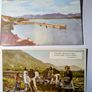 3 Old Irish Postcards. Image 2