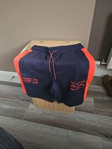 Max Verstappen Puma Shorts