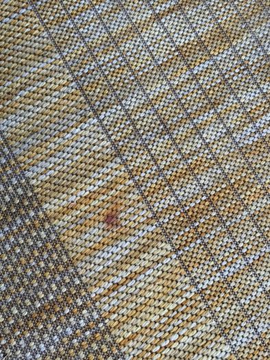 Outdoor Rug