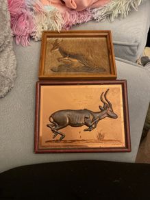 pictures