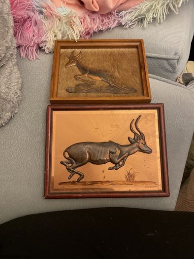 pictures