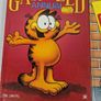 Garfield annuals 90s Image 2