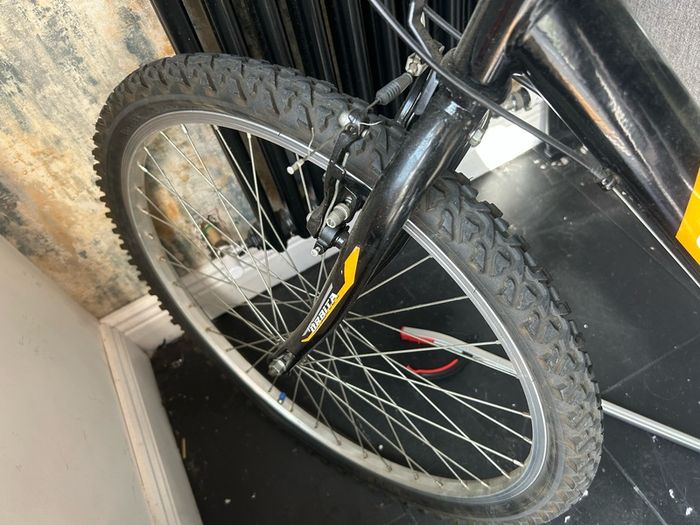 Adult Mountain Bike