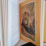 Out of Africa by Karen Blixen (HQ541) Image 5
