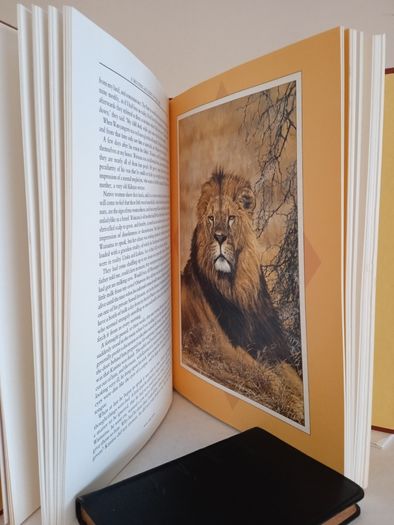 Out of Africa by Karen Blixen (HQ541)