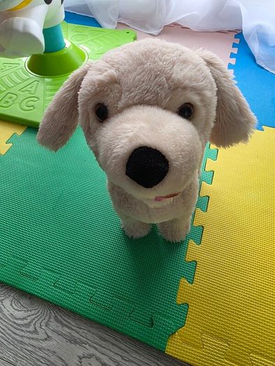 Toys Bundle