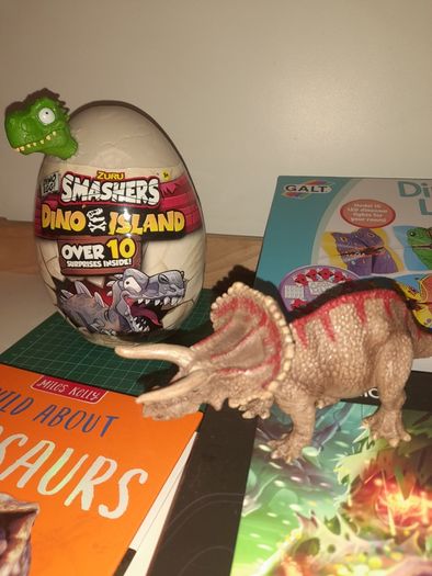 Dinosaur Activity & Toy Bundle  20e for the lot