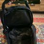 Pules Bag pack Laptop bag/ school bag Image 6