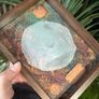 Mermaid Scale Curiosity Display Image 5