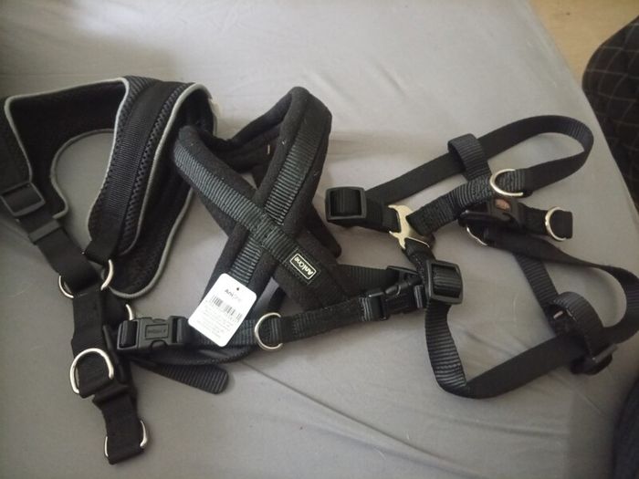 Dog bundle